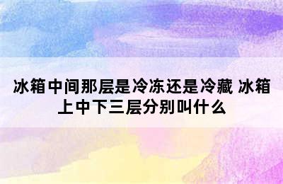 冰箱中间那层是冷冻还是冷藏 冰箱上中下三层分别叫什么